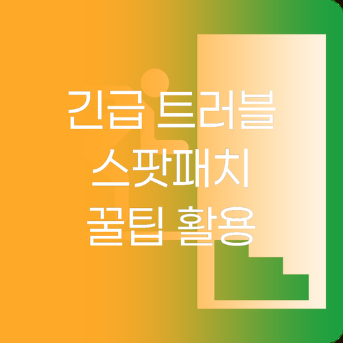 긴급 트러블 진정 꿀팁 이지덤 & 케