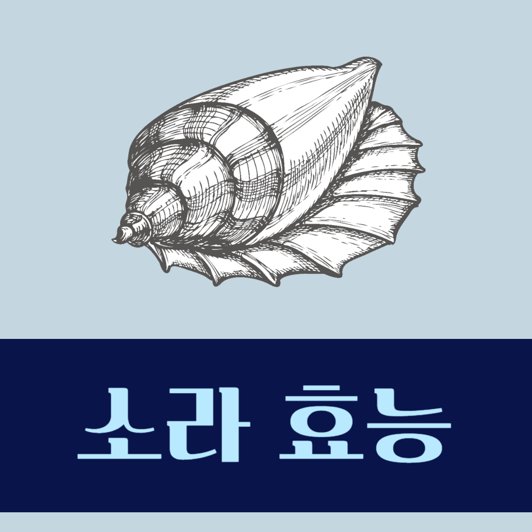 소라 효능 부작용