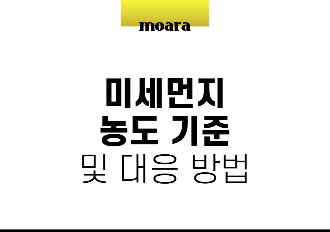 미세먼지 농도 기준 및 대응 방법
