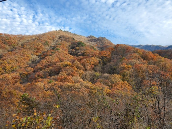 지리산 단풍시기