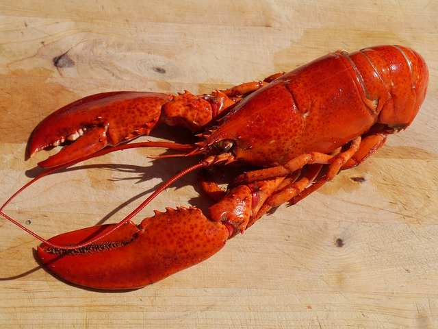 나무-도마-위에-놓인-커다랗고-붉은-바닷가재