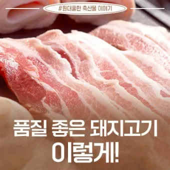 돼지고기 부위별 정리 맛있는 부위 Top10_21