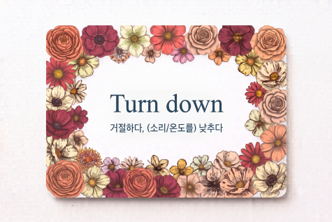 Turn down 거절하다