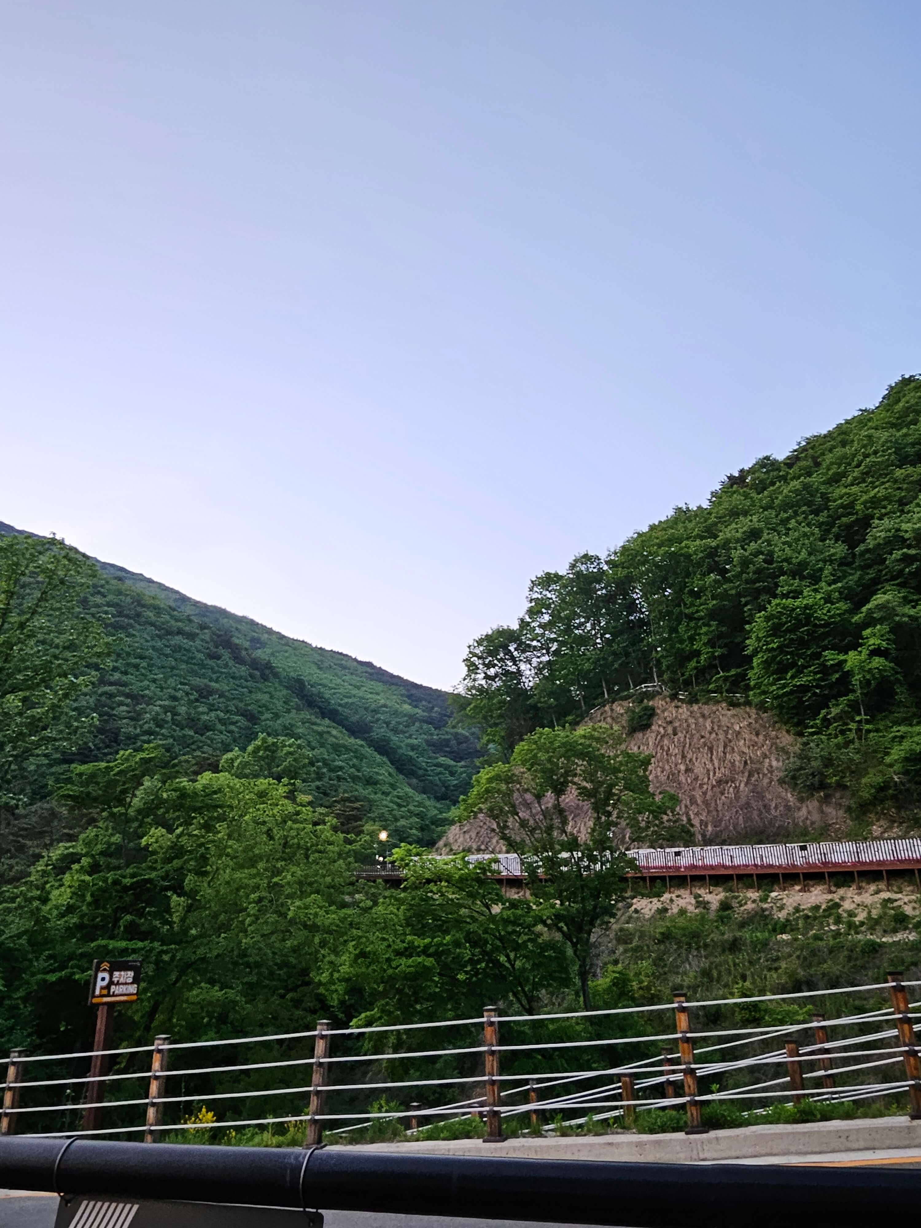 밀양도래재자연휴양림 예약 빠르게 하는 방법