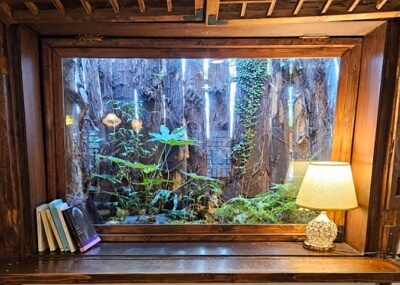 제주 동문시장 근처 추천 카페 TOP 3