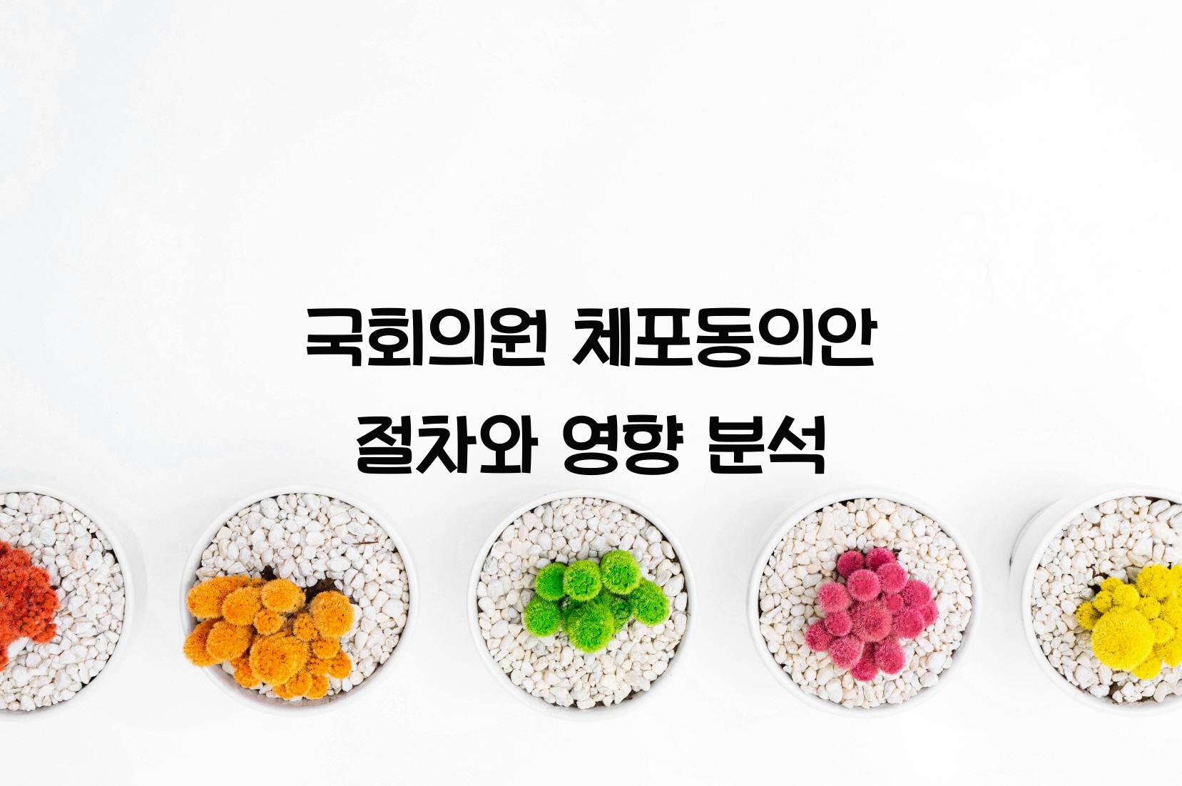 국회의원 체포동의안