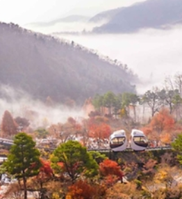 화담숲가을단풍축제