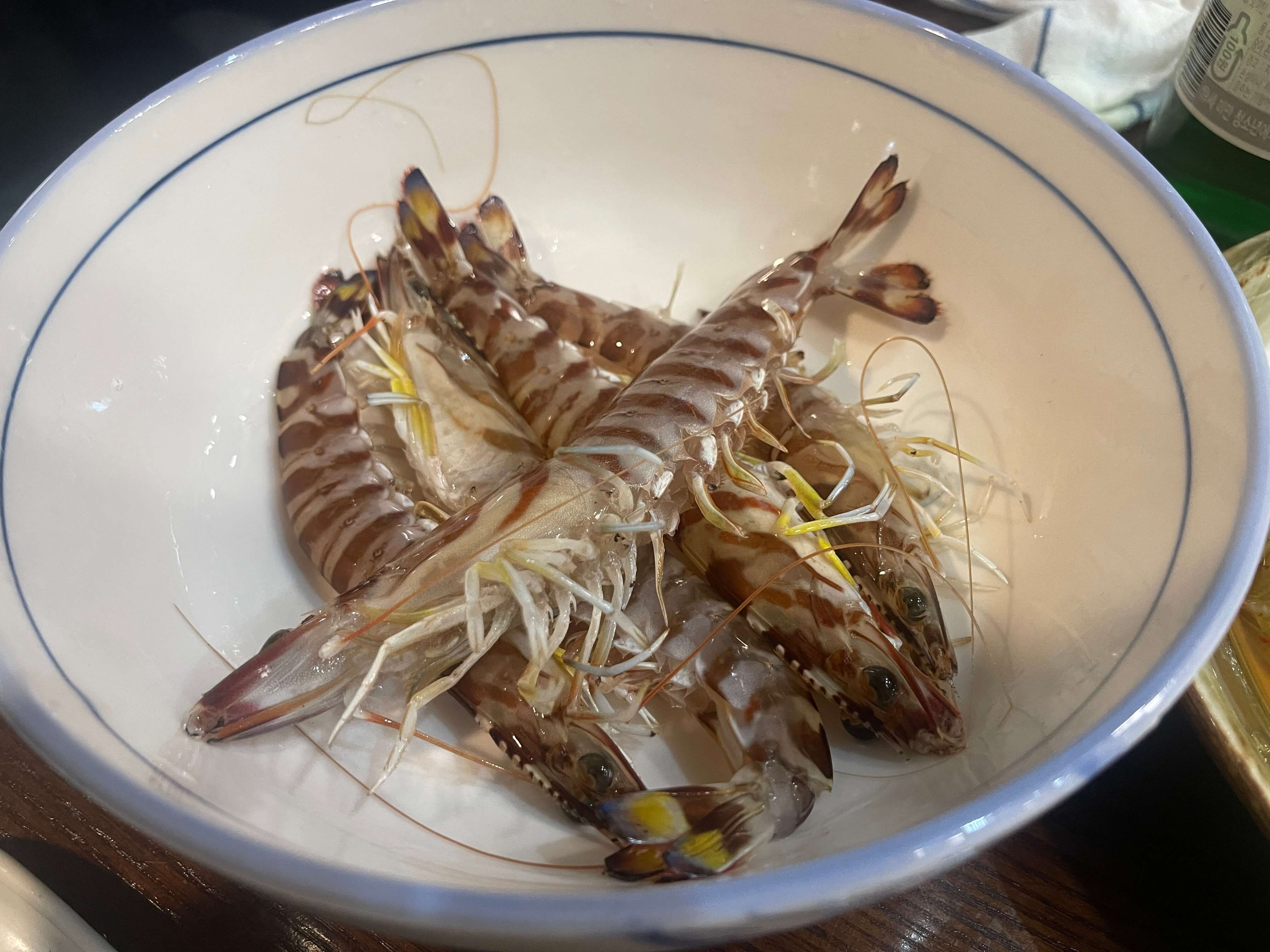 대구횟집 수성구술집 대풍회초밥 보리새우 오도리