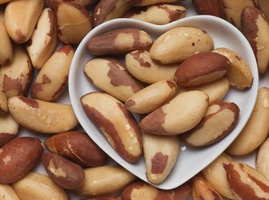 브라질너트(브라질넛) 효능 및 부작용, 하루 섭취량, 셀레늄함량, 먹는방법, 보관방법