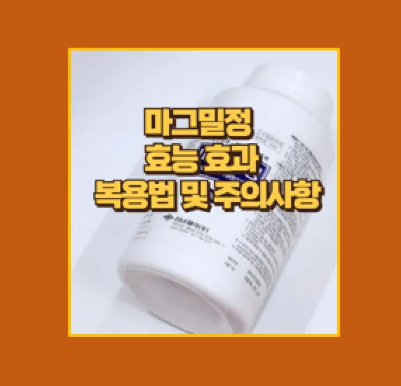 마그밀정 사용법 효과