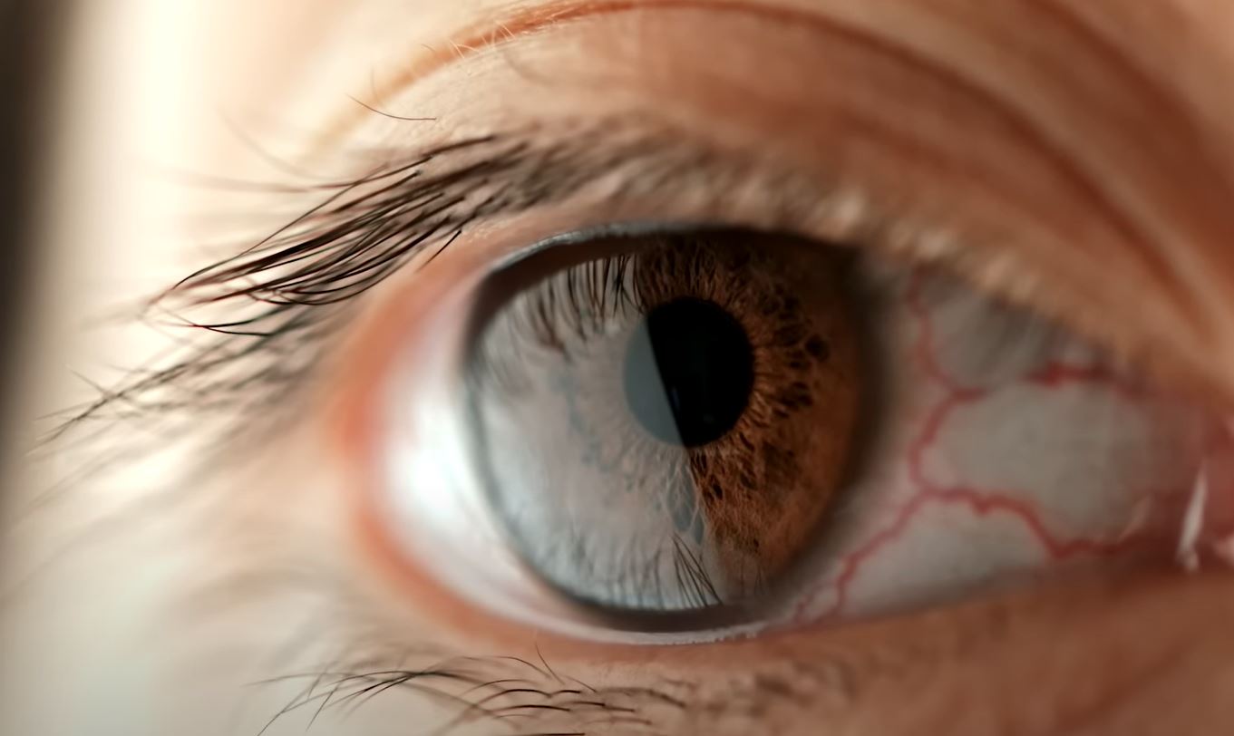 XBB변이 인도발 신종 코로나 바이러스 국내 상륙