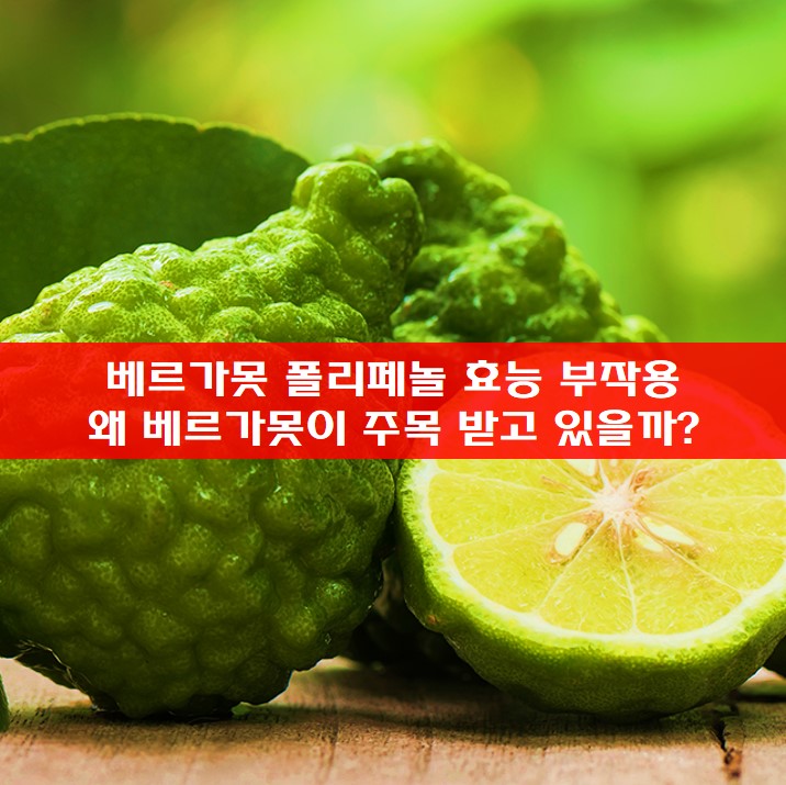 베르가못 사진