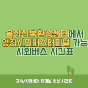 울산신복환승센터에서 영천시외버스터미널 가는 시외버스 시간표 최신정보