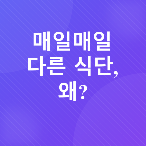 다이어트 식단_2