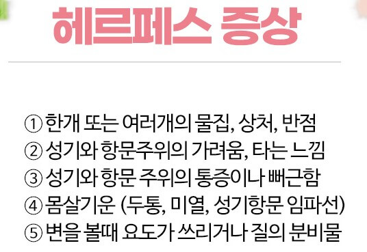 헤르페스 증상