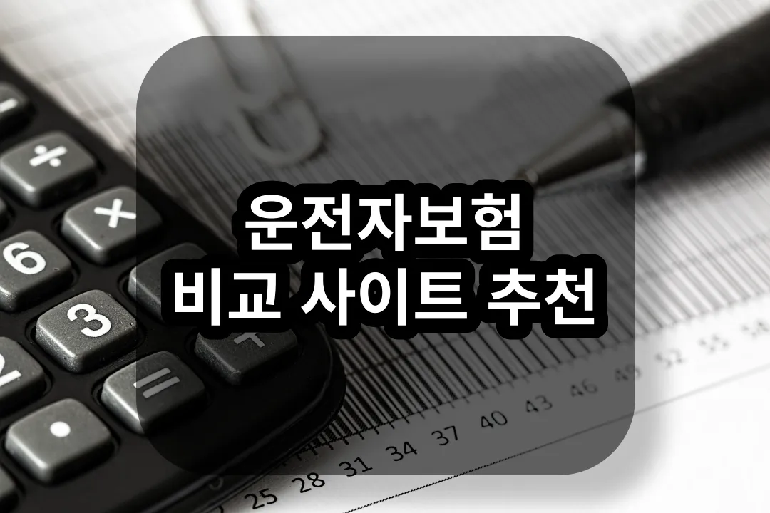 자동차 운전자보험 비교 사이트 추천
