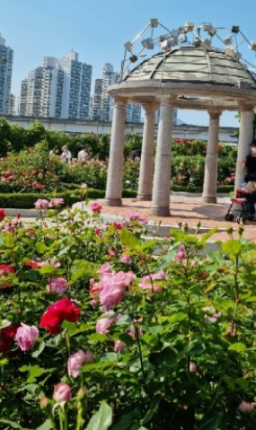 서울 5월 축제 일정