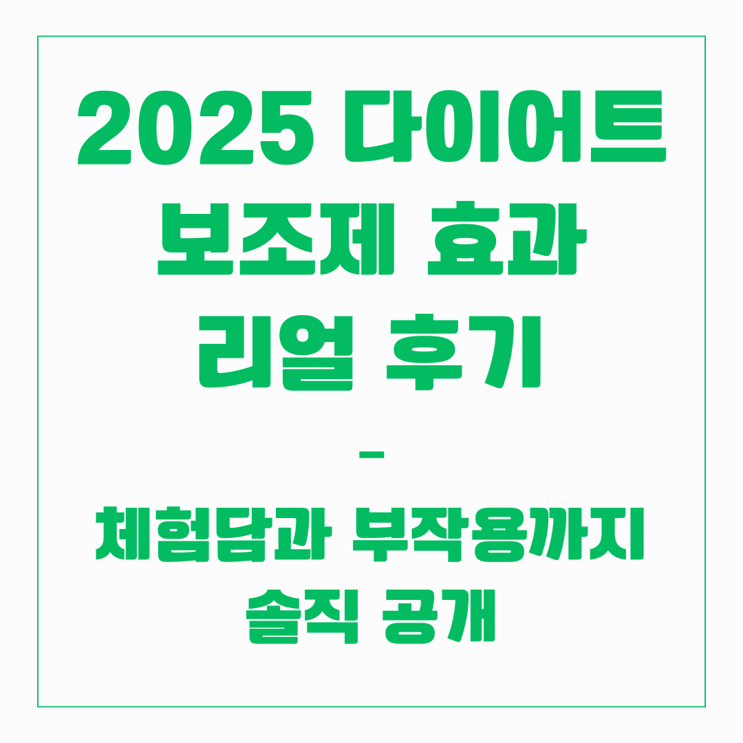 2025 다이어트 보조제 효과