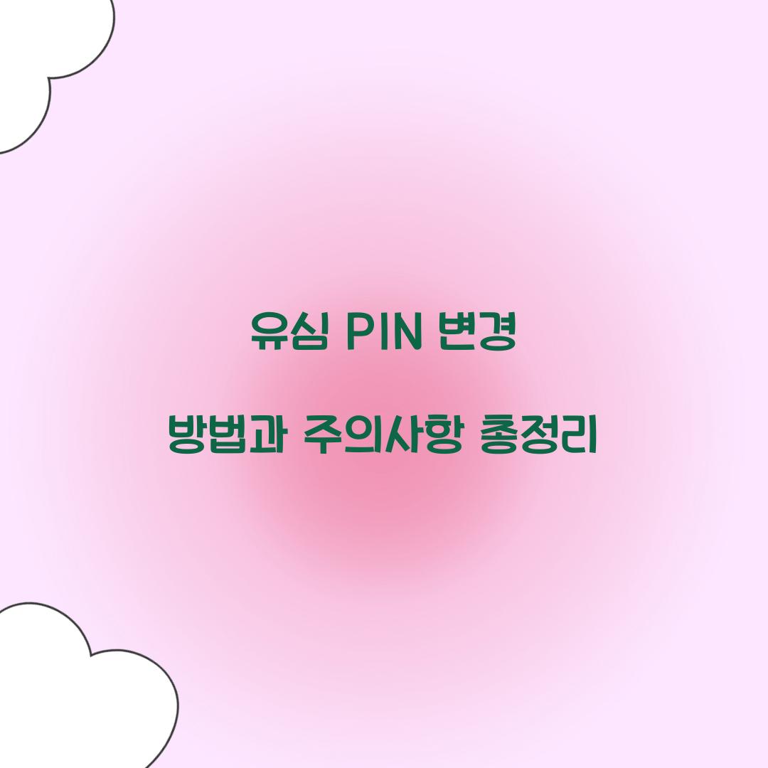 유심 PIN 변경