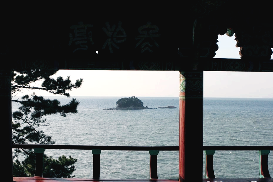 서천 동백꽃 주꾸미축제