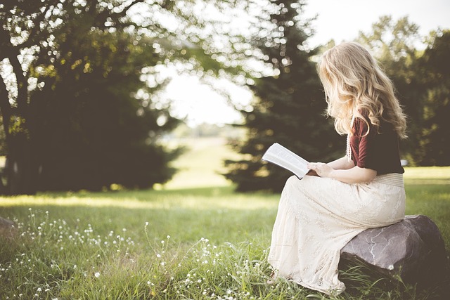 광복절 운전면허 특별사면 관련 이미지