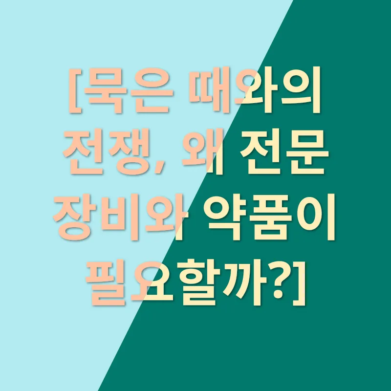 전문 청소 방법_1