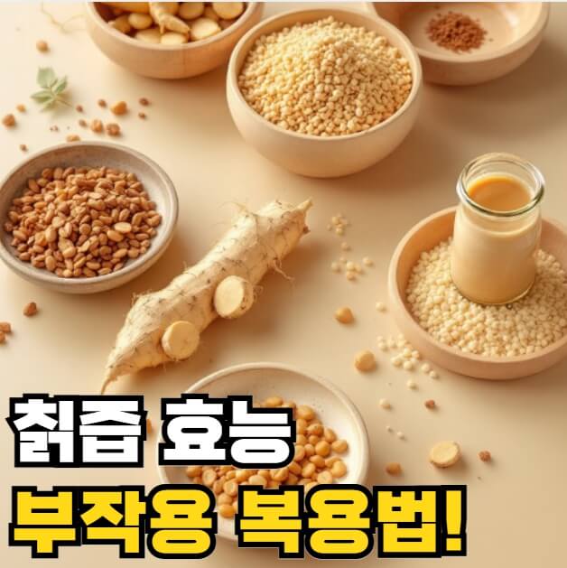 칡즙 효능 부작용 복용법