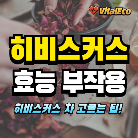 히비스커스 효능과 부작용 알아보기