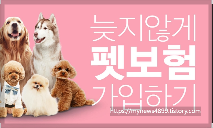 우리가족펫보험 가입하기