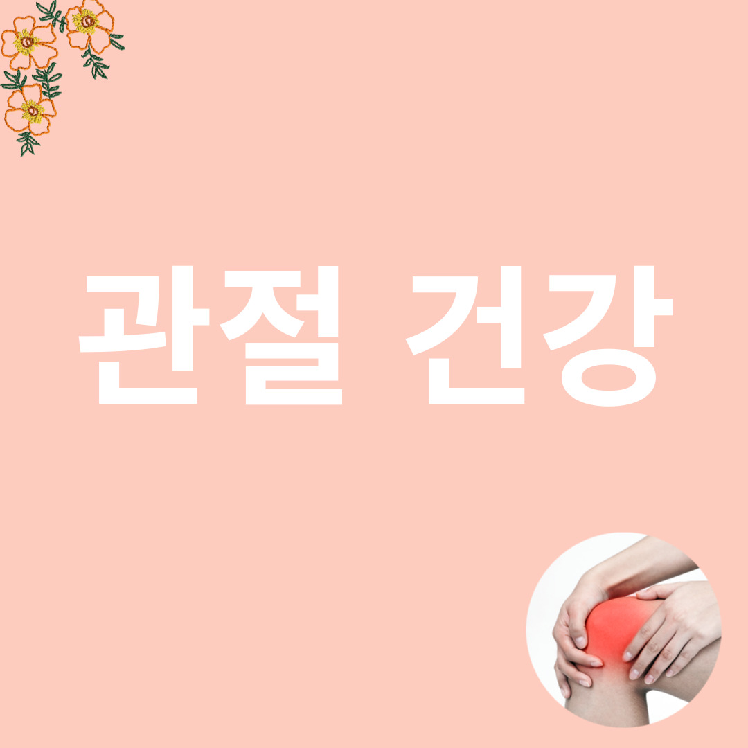 관절과 관련된 이미지