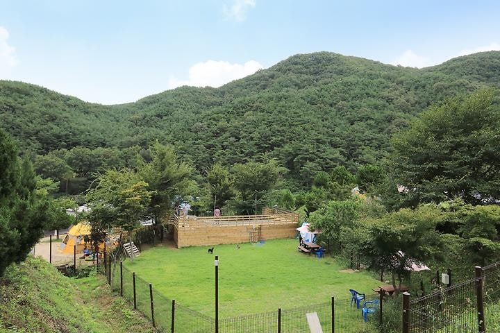 고령 가볼만한곳 베스트10