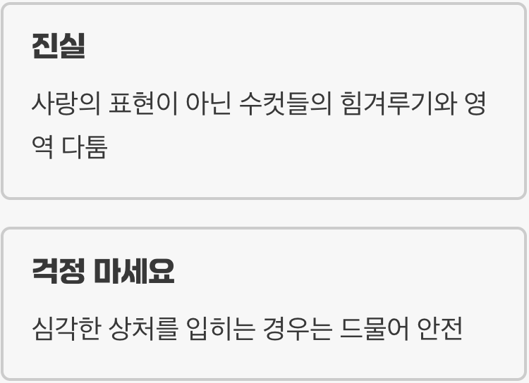 사랑의 입맞춤? 사실은 힘겨루기!