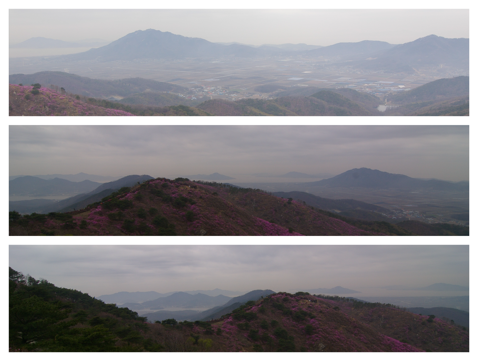 봄 고려산