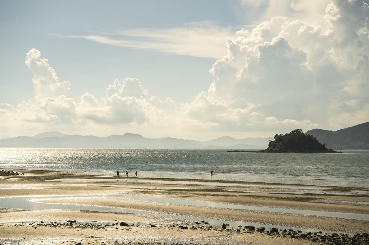득량도 앞바다 갯벌을 여유롭게 걷는 사람들 너머로 작은 섬과 산능선이 겹치고, 오후 햇살이 바다에 은빛 반사를 만드는 고요한 풍경.
