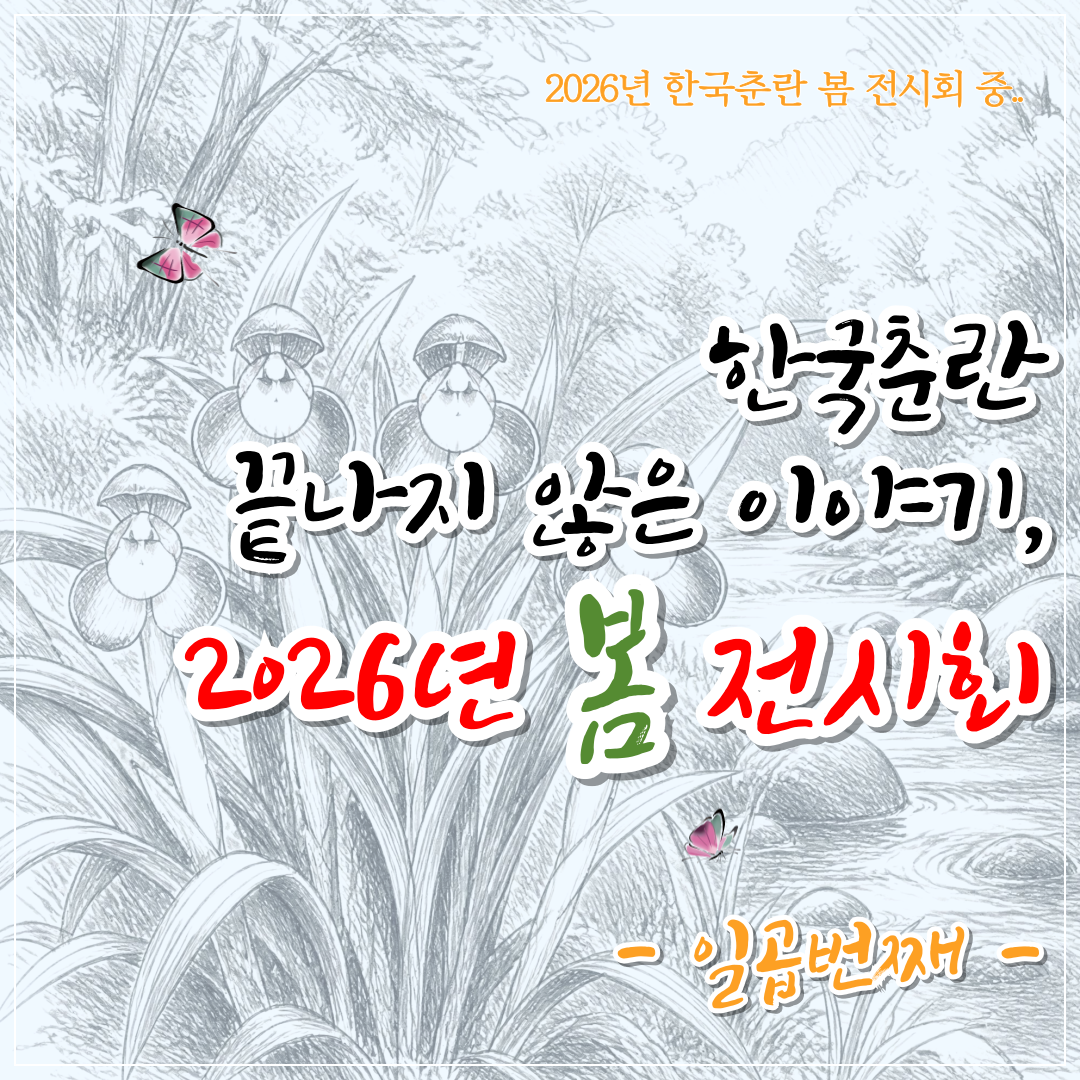한국춘란 화예품 봄 전시회 감상