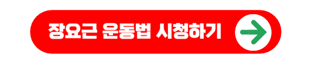 장요근 스트레칭 운동법 시청하기