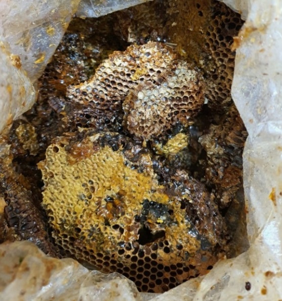 한국기행-토종꿀-김성진-민통선-설악산