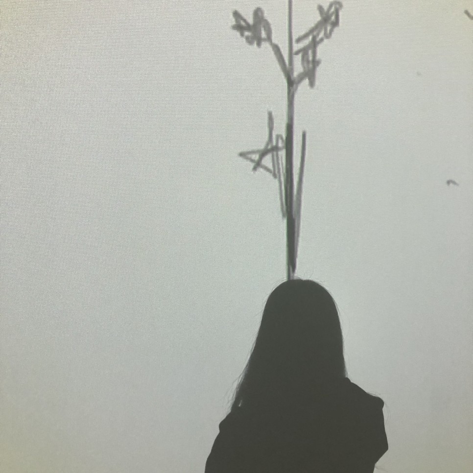 The Color Spot : 꿈속의 자연 - 나의 숲