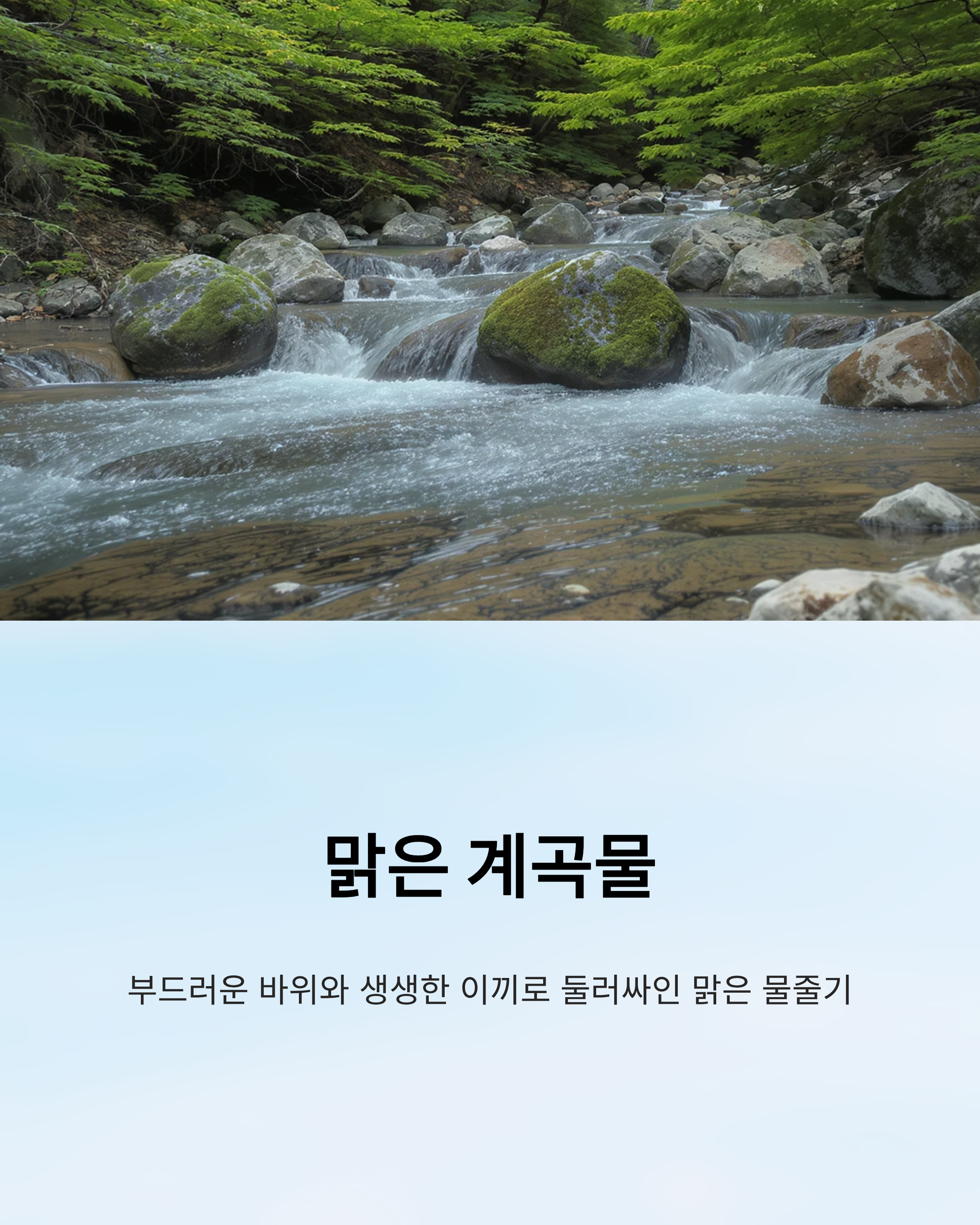 지리산 자연휴양림