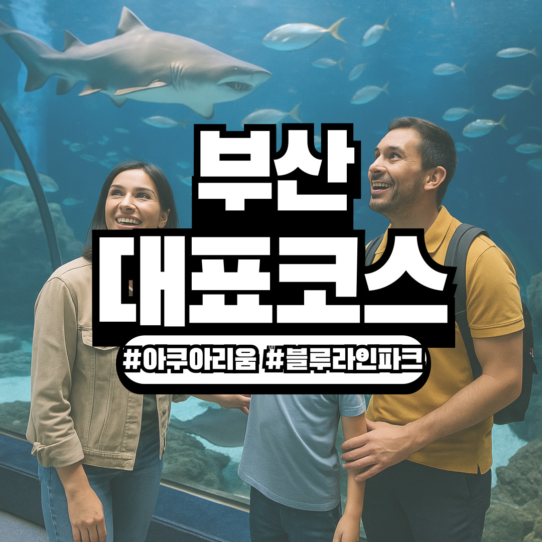 부산 아쿠아리움 & 해운대 블루라인파크 – 어린이·커플 모두 만족하는 대표 코스