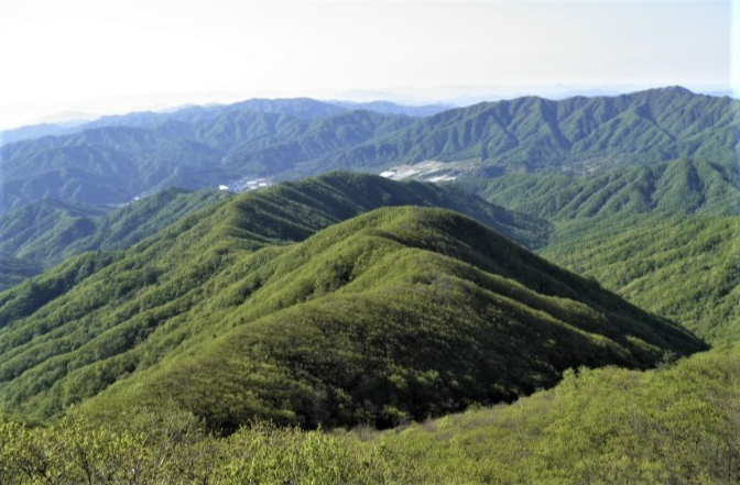 치악산자연휴양림