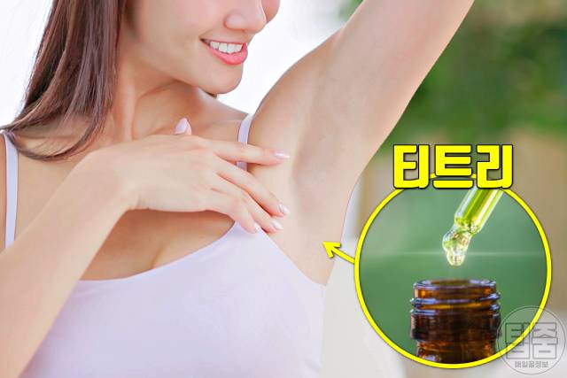 겨드랑이 착색 제거 티트리오일 겨드랑이 미백크림 추천