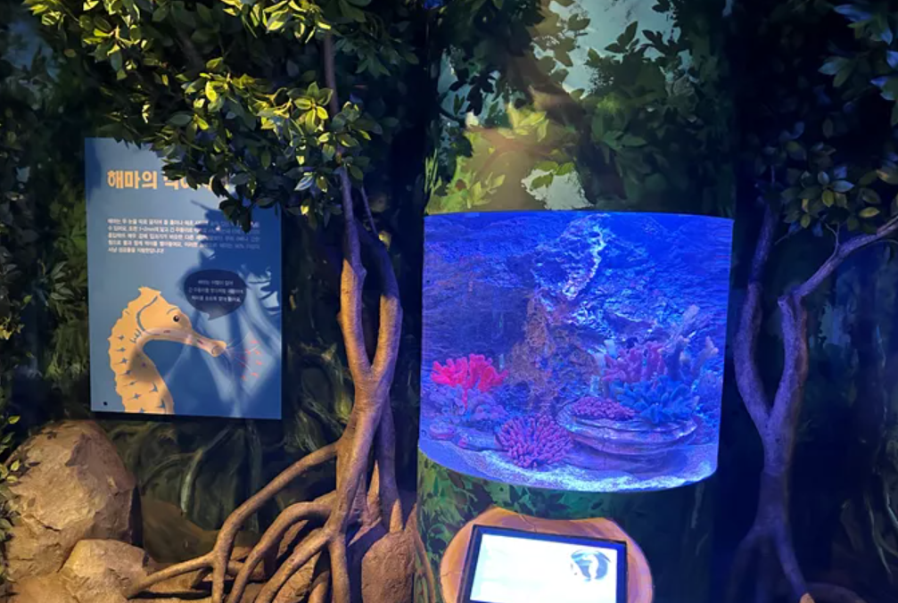 부산 씨라이프 아쿠아리움