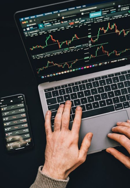 이뮨온시아 주식&amp;#44; 지금이 매수 타이밍일까 임상현황부터 투자리스크까지 정밀 분석