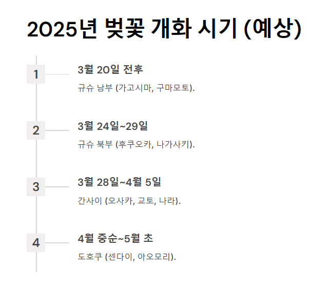 일본 벚꽃여행 일정 가이드