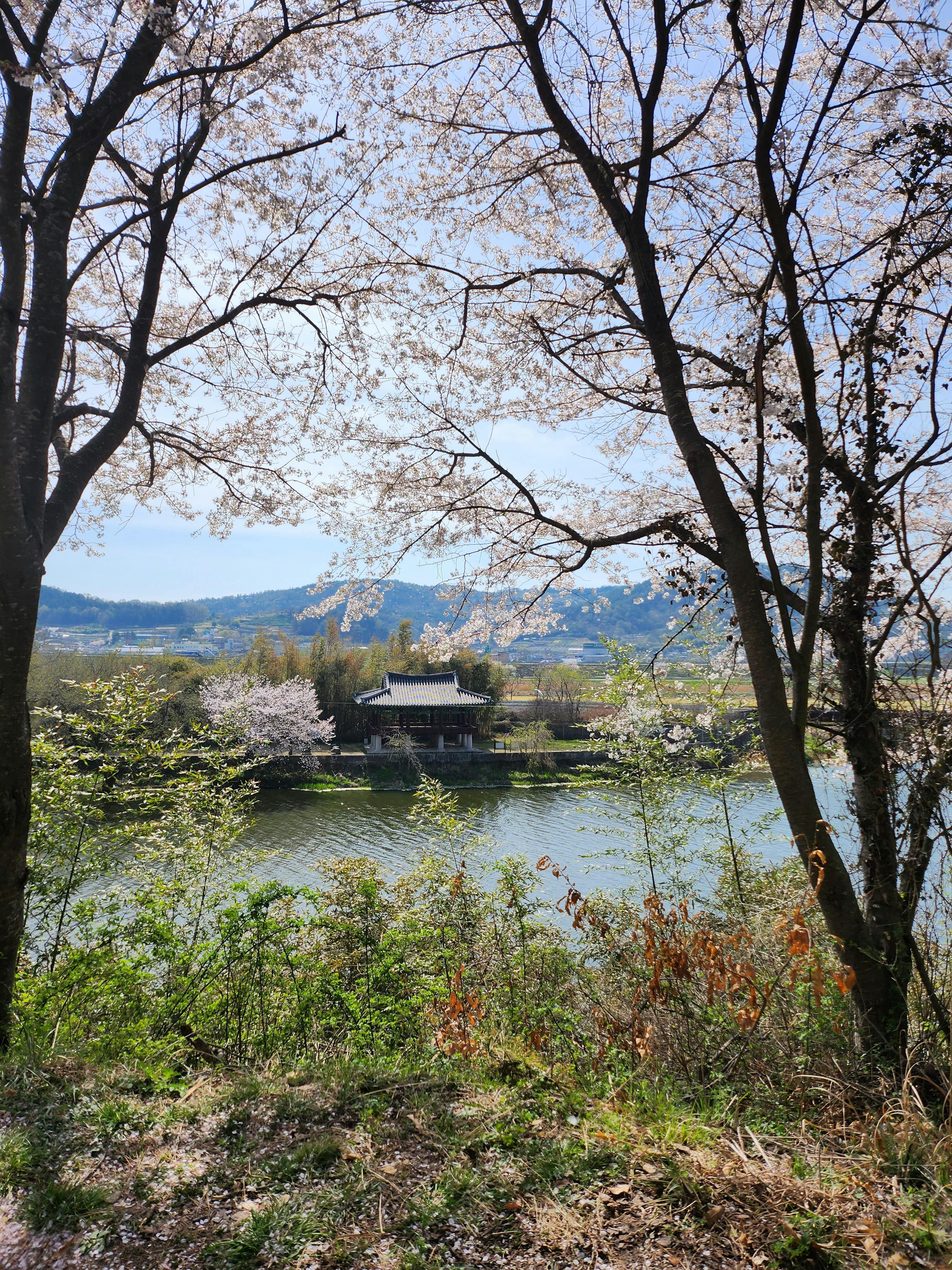 체코에서 꼭 알아야 할 주 체코 한국 대사관과 비자 정보 7가지!