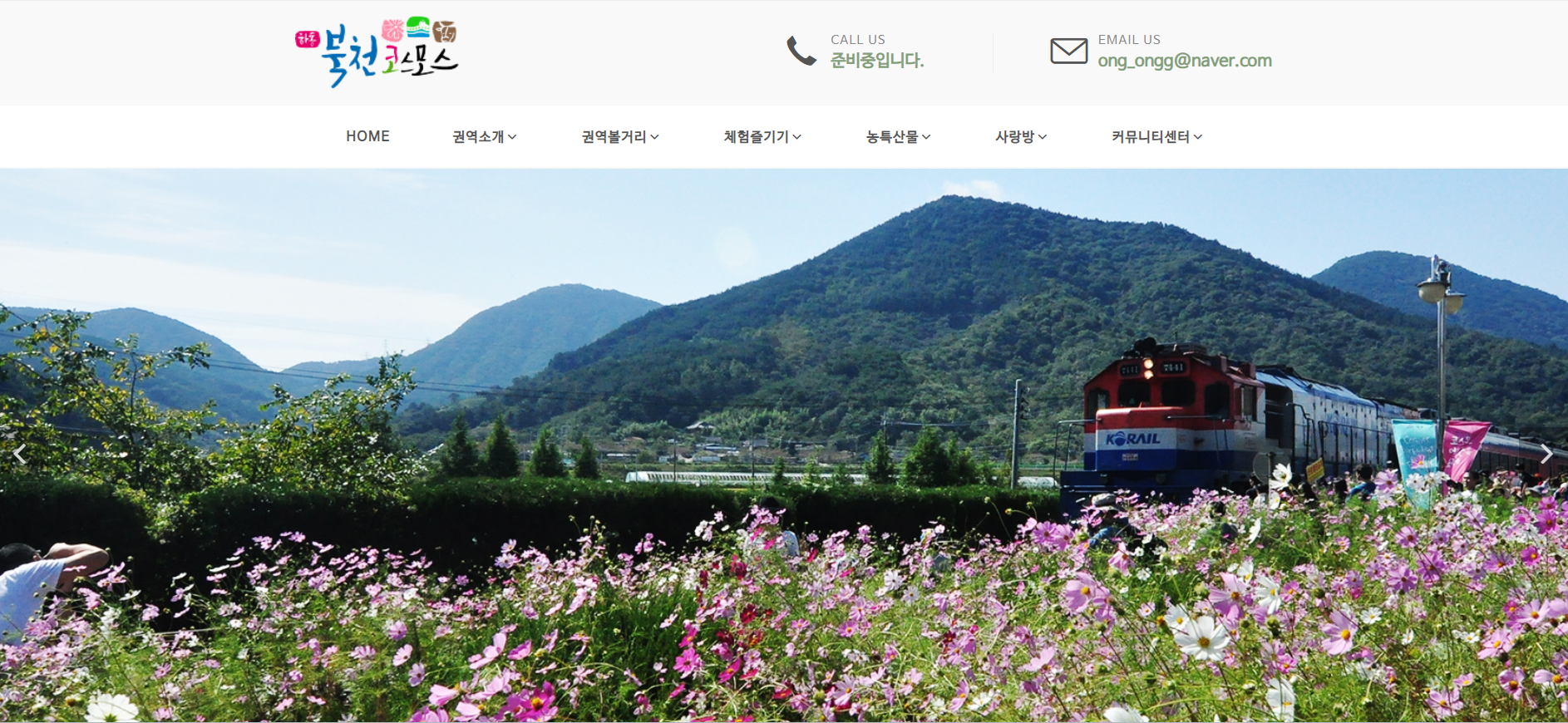 하동 북천코스모스