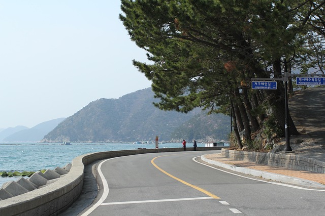 바닷길 관련 사진