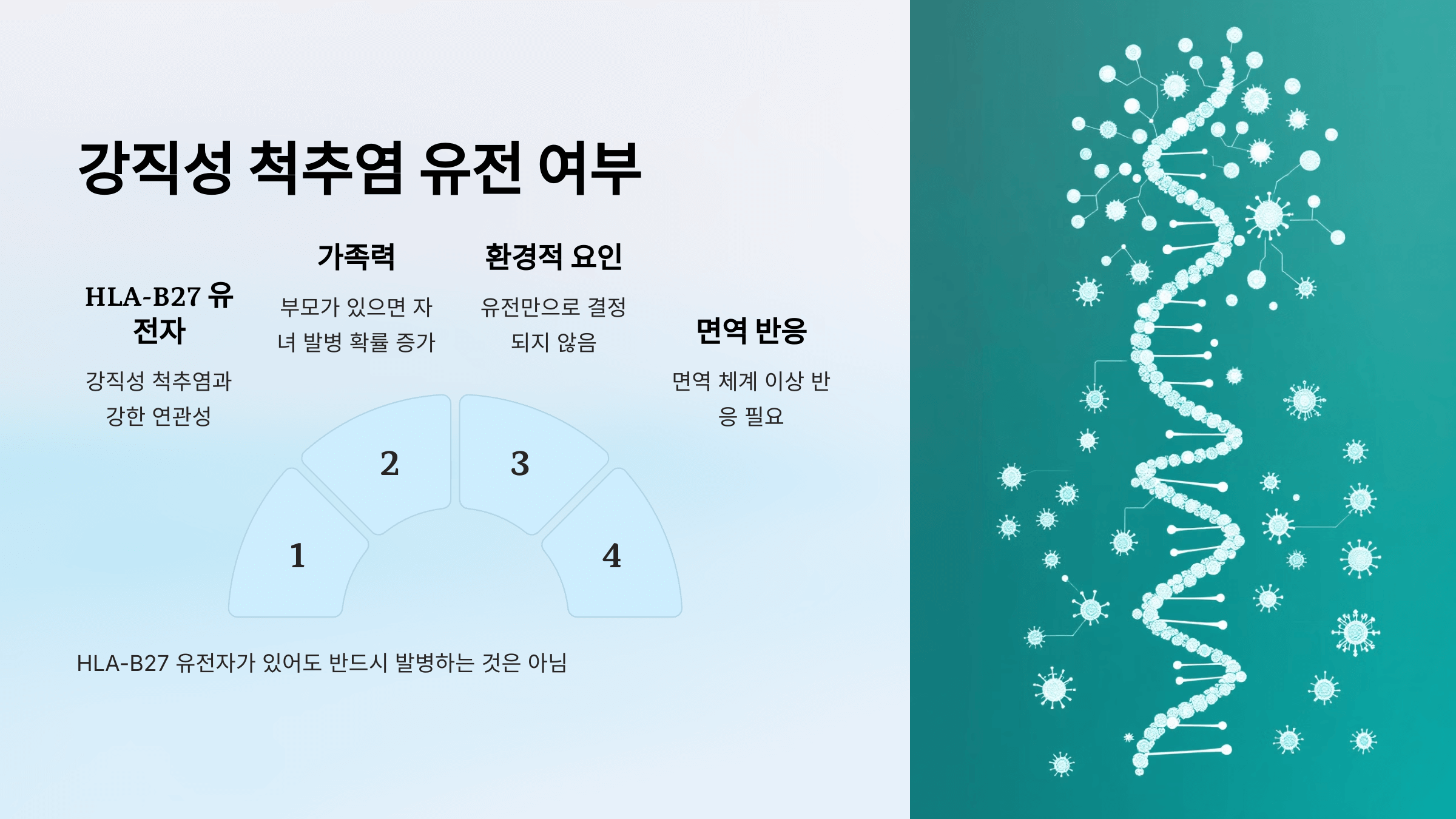 강직성 척추염과 관련된 사진입니다.