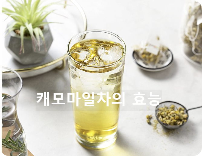 캐모마일차와 카페인 유무